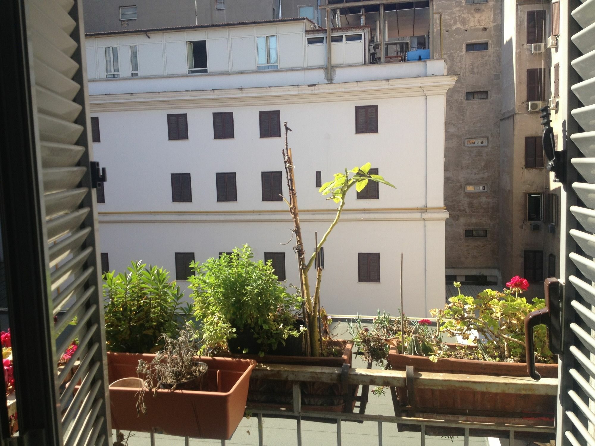 Roma Termini Inn Exterior foto